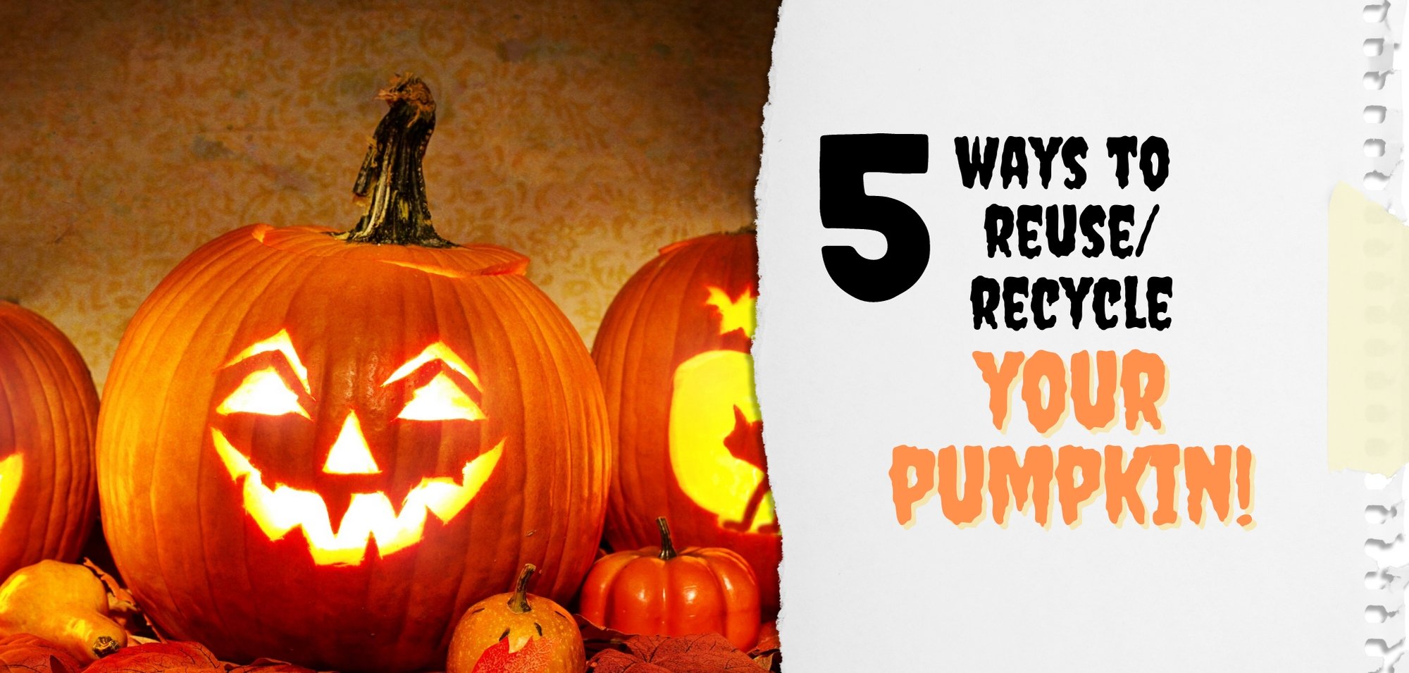Waste Not; Resurrect Your Pumpkin